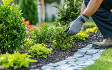 GardenCare featuring healthy plants, thriving gardens, and essential gardening practices that support long-term plant health and outdoor beauty.