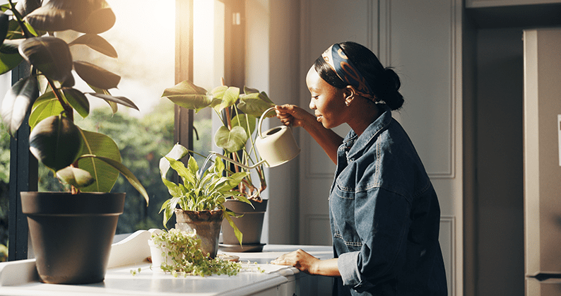 Nurturing Nature with Confidence: A Complete Guide to Creating a Thriving Garden and Sustainable Outdoor Space.