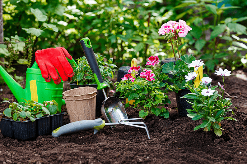 Nurturing Nature with Confidence: A Complete Guide to Creating a Thriving Garden and Sustainable Outdoor Space.