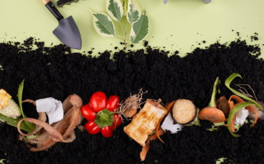 Composting process showing organic materials breaking down into nutrient-rich compost that improves soil health and supports sustainable gardening.