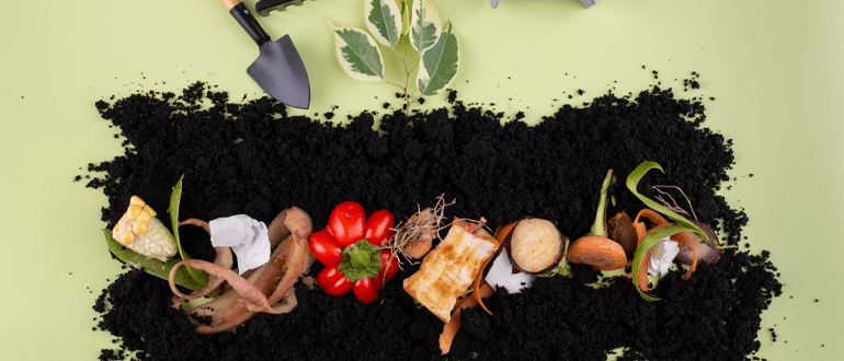 Composting process showing organic materials breaking down into nutrient-rich compost that improves soil health and supports sustainable gardening.