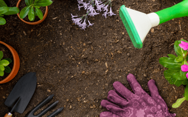 Beautiful garden filled with colorful flowers, healthy plants, lush greenery, and carefully maintained landscaping features.