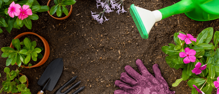 Beautiful garden filled with colorful flowers, healthy plants, lush greenery, and carefully maintained landscaping features.