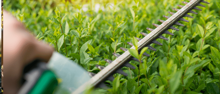 Garden Maintenance: The Complete Guide to Keeping Your Garden Healthy, Beautiful, and Productive