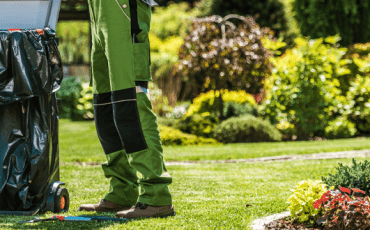 Garden maintenance activities including lawn care, pruning, watering, and routine upkeep to keep outdoor spaces healthy and attractive.