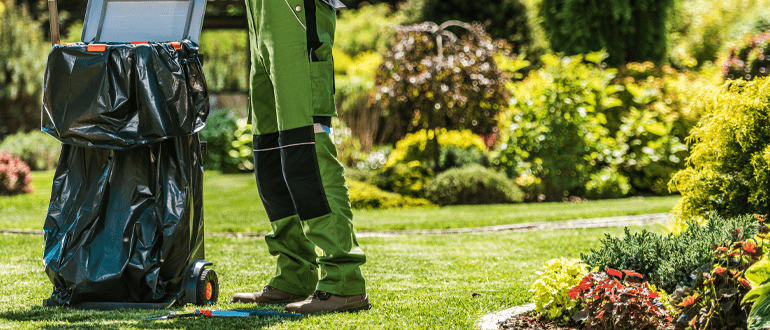 Garden maintenance activities including lawn care, pruning, watering, and routine upkeep to keep outdoor spaces healthy and attractive.