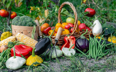 Fresh vegetables arranged in the foreground with a blurred vegetable garden background, showcasing healthy home-grown produce and natural abundance.