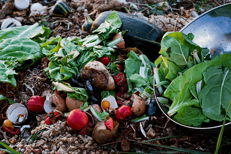 12 best ways to Start Composting at Home