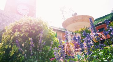 Serene garden with fountain and vibrant flowers for ultimate meditation