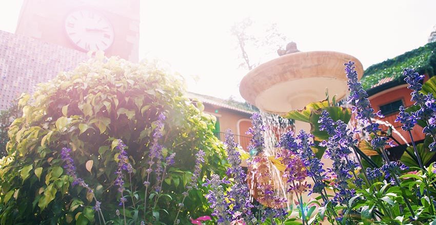 Serene garden with fountain and vibrant flowers for ultimate meditation