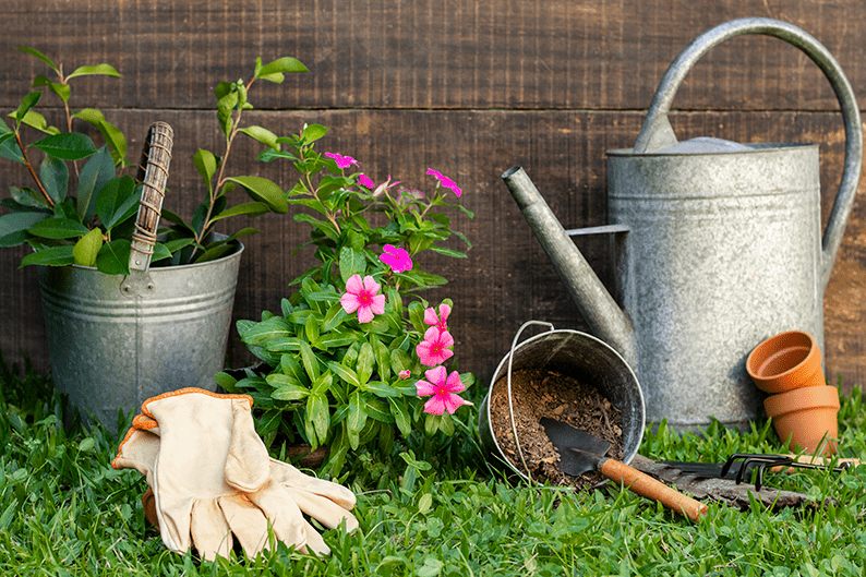 12 Beautiful Plants for a Cozy and Relaxing Yard Effortlessly