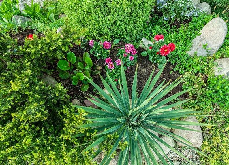 7 Ultimate Modern Garden Ideas: Lumora Online Design Guide