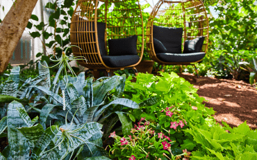 Succulent plants hanging in a garden setting with two chairs in the background, creating a relaxing and stylish outdoor living space.