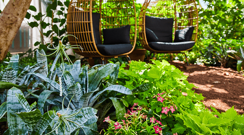 Succulent plants hanging in a garden setting with two chairs in the background, creating a relaxing and stylish outdoor living space.